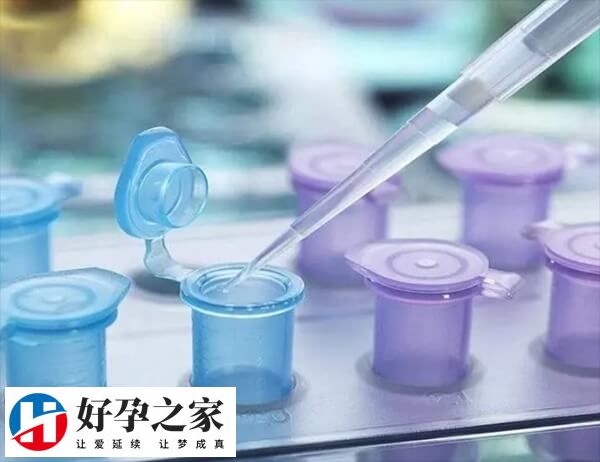 29岁做试管成功率多少